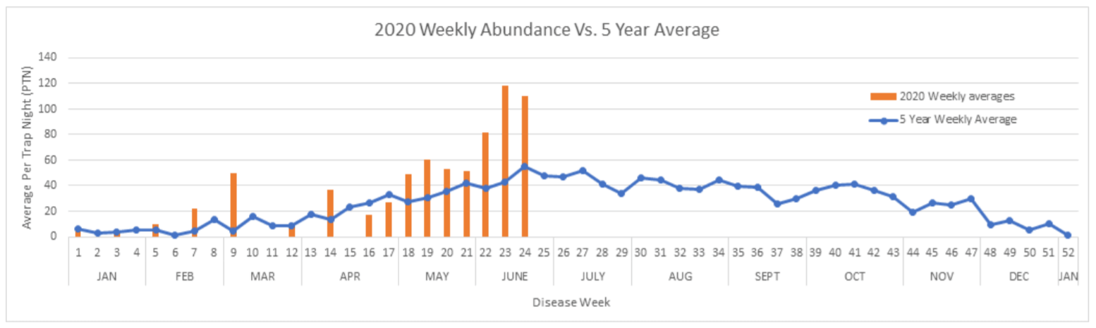 2020 Mosquito Count Figure for Orange County