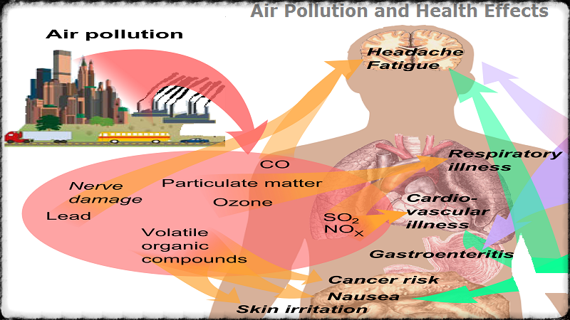 4 Ways How Poor Air Quality Can Negatively Affect Your Health