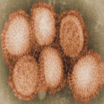 February’s Flu Season: What You Should Know