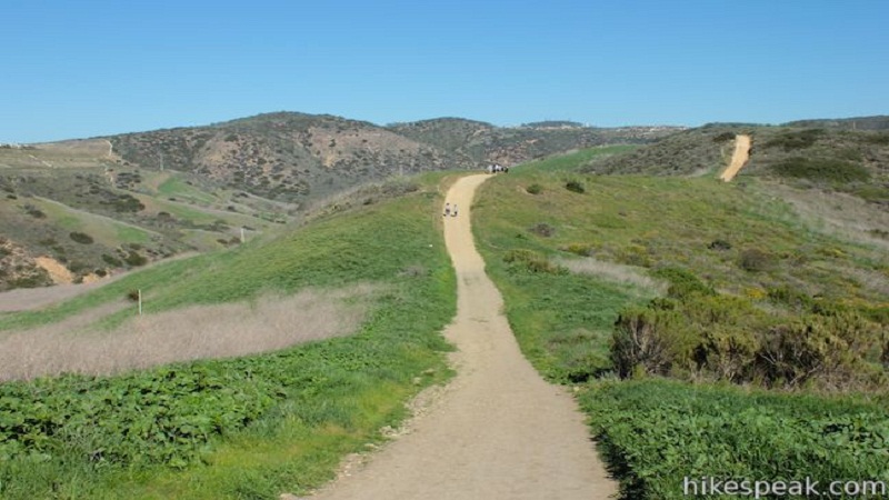 laguna-beach-crystal-cove