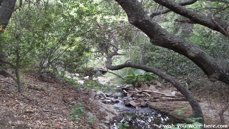 oak-canyon-nature-center-anaheim