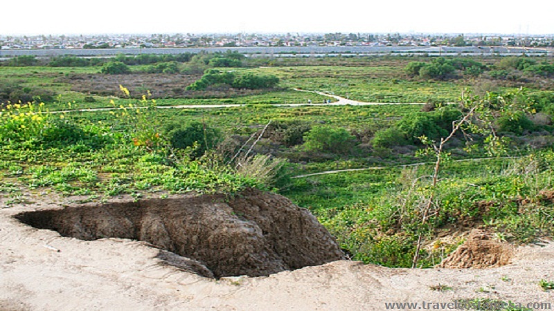 talbert-nature-preserv-costa-mesa