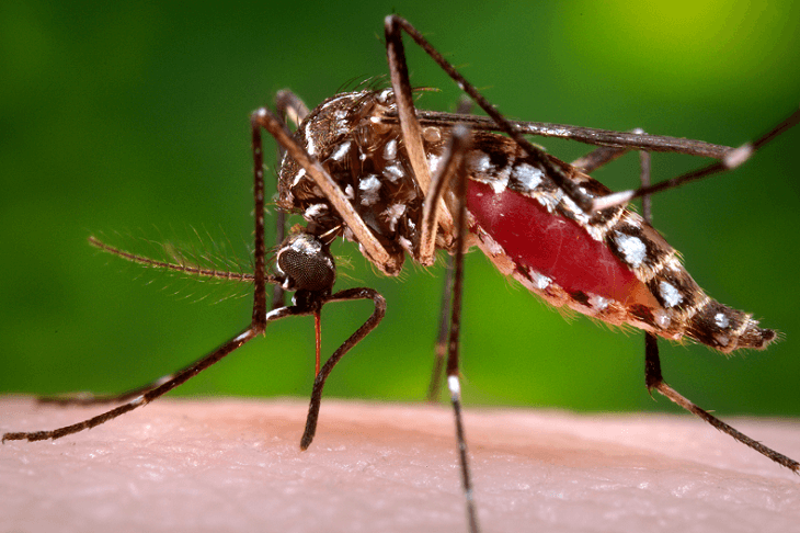5-Shot Friday: KFC Secret Recipe, Heroes, World Dinging, Zika, and Tim Ferriss Has A New Book