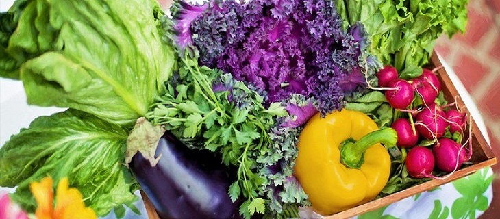 5-Shot Friday: Democracy, Backyard Urban, Paleo+, Hiya! And Jefferson