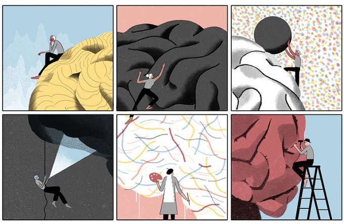 5-Shot Friday: Bear Funk, RunNat, Regrown Knees, Superaging, And Winner Winner.