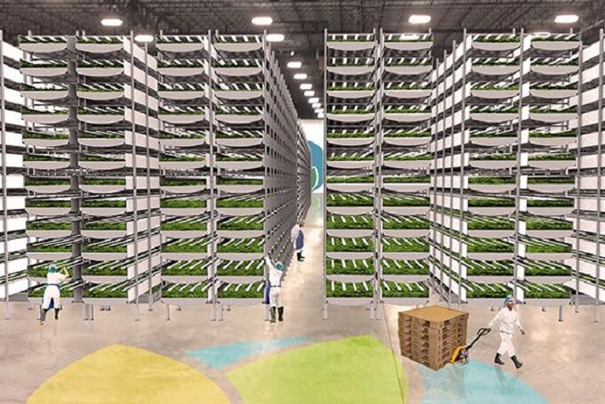 Vertical Farming