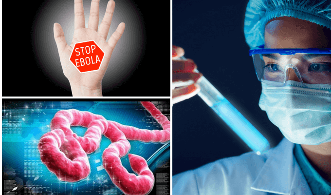 Ebola Virus Disease: Causes, Symptoms, and Prevention