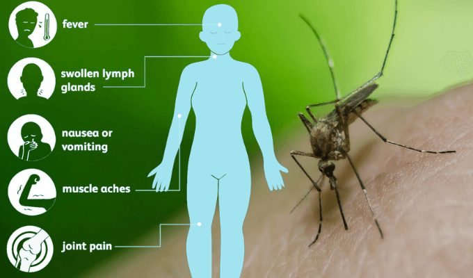 West Nile Virus: Symptoms, Treatment & Prevention [Updated: July 1, 2020]